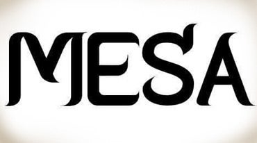 MEDIA - GetInvolved:MESA Img The Middle Eastern Student Assembly (MESA) is the student advisory board for the MESC